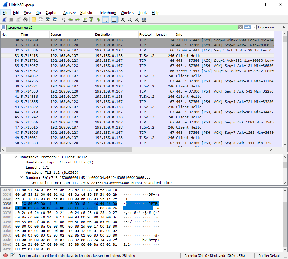 HideInSSL pcap